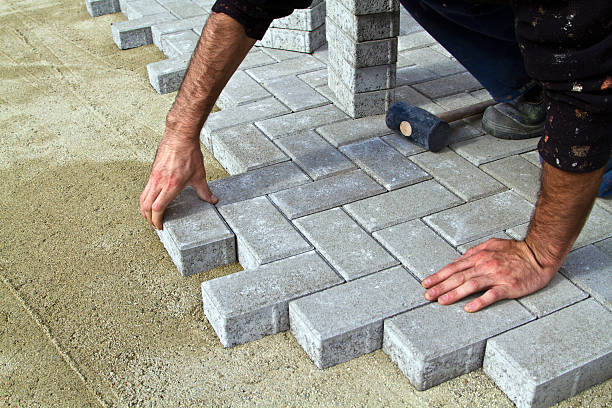 Best Driveway Paver Repair  in Ellicott City, MD